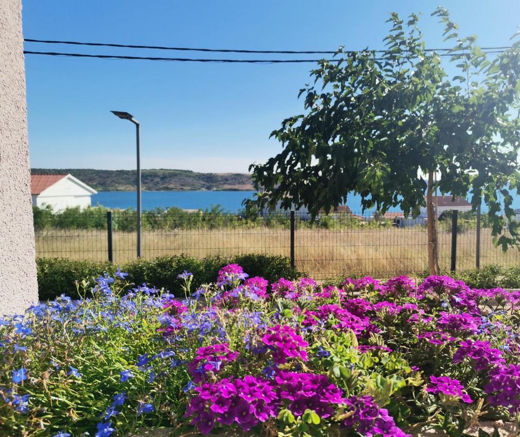 Apartmani Darko 르티나 외부 사진